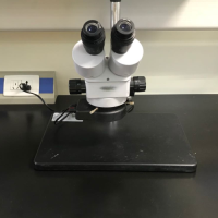 体式显微镜2（区511）