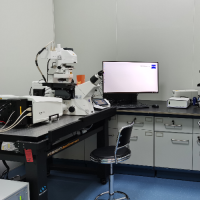 蔡司激光共聚焦显微镜LSM980-1（103-9）