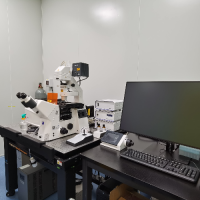 蔡司激光共聚焦显微镜LSM980-2（103-10）