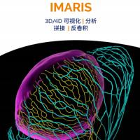 多维图像分析系统Imaris